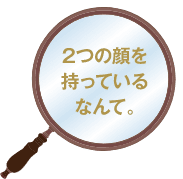 2つの顔を持っているなんて。